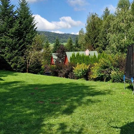 Domki Pod Kiczera W Baligrodzie, Bieszczady Kültér fotó